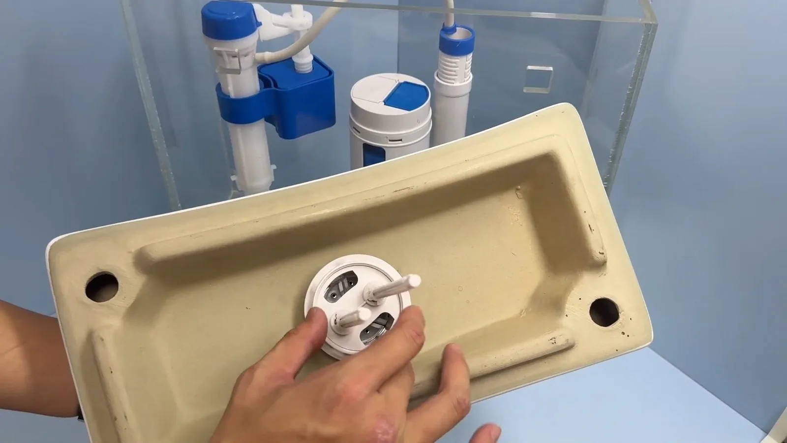 A person holding a toilet tank lid upside down beside a clear tank with a blue fill valve