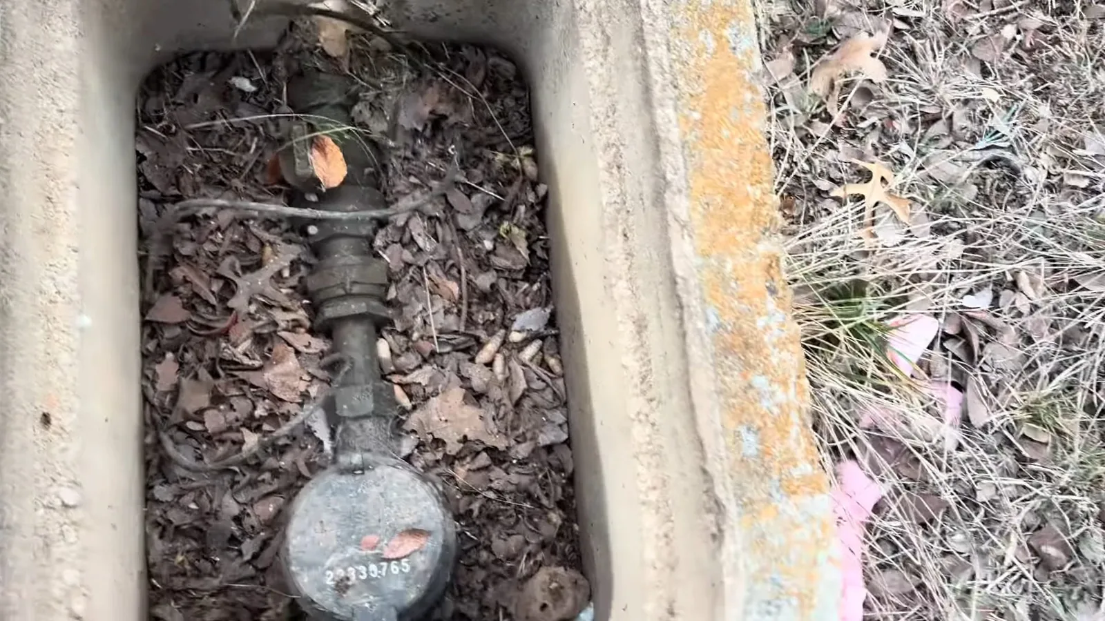 A concrete box set in the ground holding a water meter and valve under fallen leaves